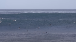 Le QS 3 000 des Açores est annulé !